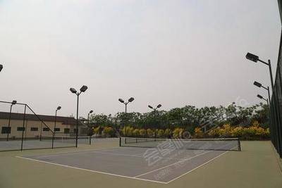 中央林间网球学校中央林间网球学校基础图库1